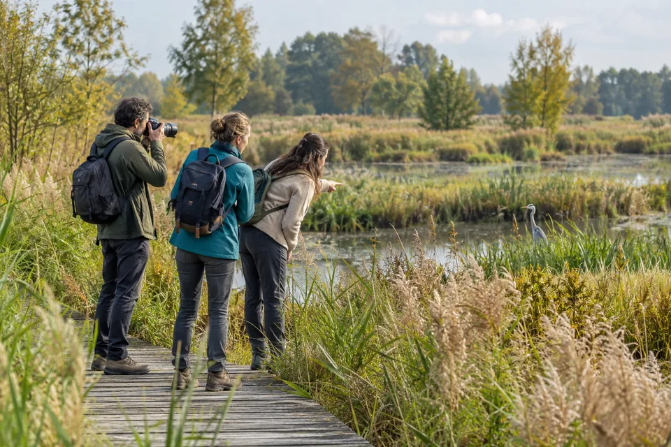 Drie wandelaars fotograferen de natuur langs het water